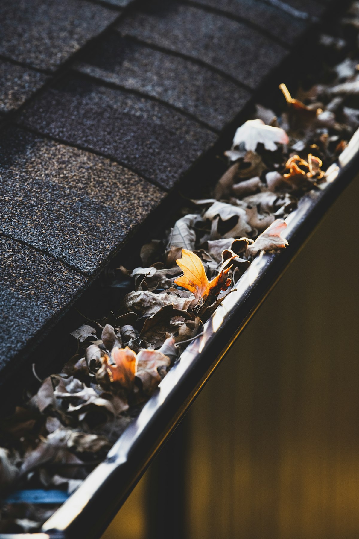 Fallen leaves clogging a roof gutter in autumn